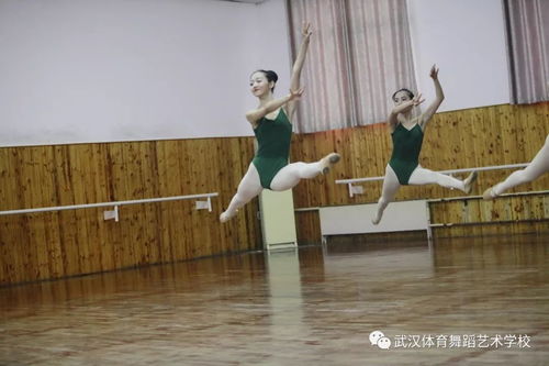 2017 2018学年第二学期专业公开展示课 16级舞蹈班