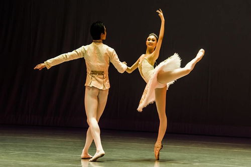 曼舞长宁 舞蹈精品专场