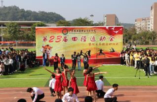 我校第23届运动会胜利闭幕