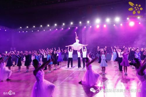 8省1区 9大展演活动 cefa国标舞五一假期全国盛大开演